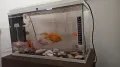 Продавам Аквариум + помпа/ нагревател ✅ 50 л., снимка 2