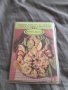 Стари рецепти Студени закуски от Млечни продукти,Яйца и Зеленчуци, снимка 1 - Други ценни предмети - 33227713