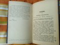 Ръководство по Словесностъта,1889г,стара книга , снимка 5