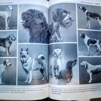"Енциклопедия на кучето"-Германия, снимка 2 - Специализирана литература - 33458448