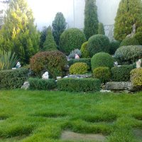 Извършвам пълна потдръжка на зелени площи , снимка 5 - Градински цветя и растения - 43799097