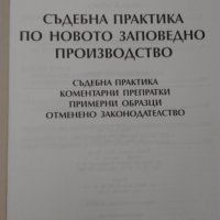 "Съдебна практика по новото заповедно производство" - 2010 г. В. Иванов, снимка 2 - Специализирана литература - 44051285