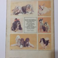 Декоративные собаки, снимка 2 - Антикварни и старинни предмети - 38245608