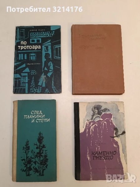 По тротоара - Милчо Радев (1963), снимка 1