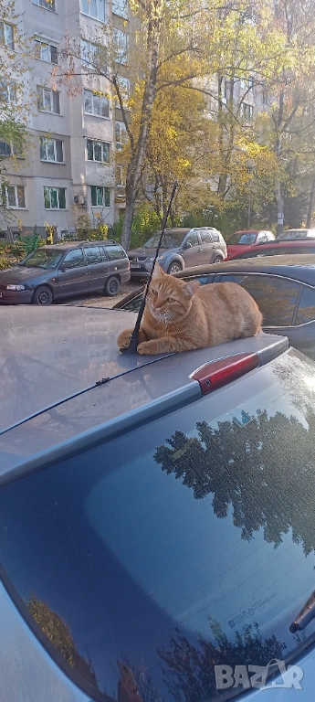 Демонтаж на Стари Мебели , снимка 1