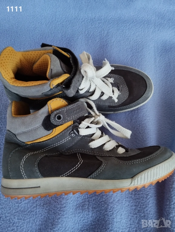 Ecco coretex номер 35., снимка 1