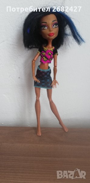Monster High Wiki Robecca Steam, снимка 1