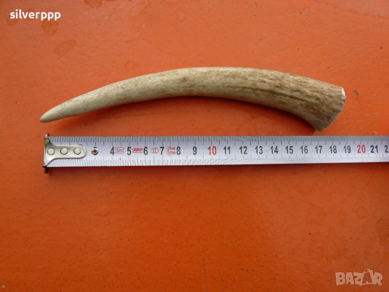 Парче еленов рог за дръжка на нож - 5 , снимка 1