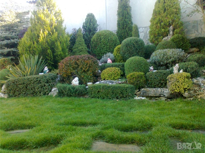 Извършвам пълна поддръжка на зелени площи , снимка 1