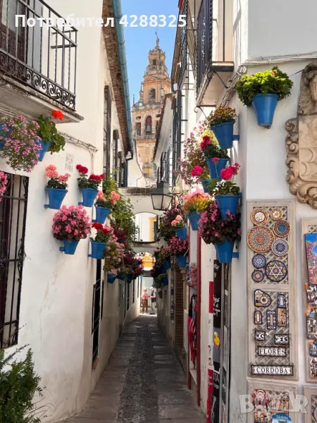 Уроци по испански език , снимка 1