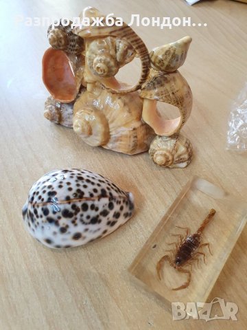 Морски стил, миди и др., снимка 4 - Декорация за дома - 37537214