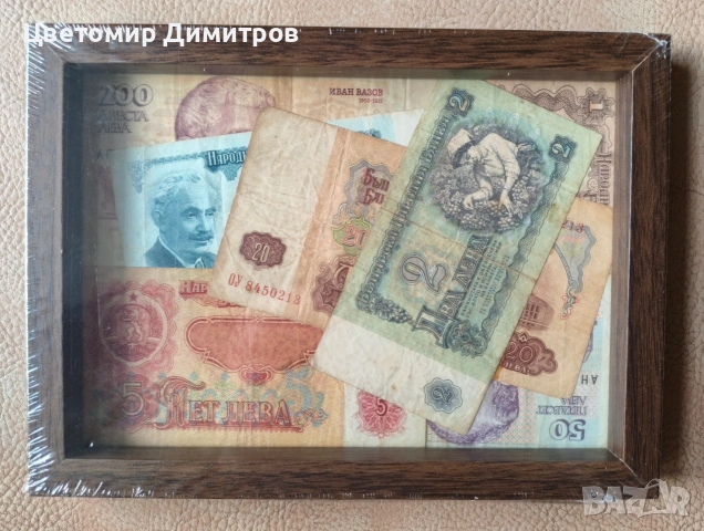 Пано дървото на парите, пано с банкноти , снимка 3 - Пана - 53271641