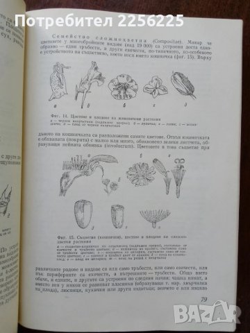 Фитотерапия , снимка 6 - Специализирана литература - 50501664