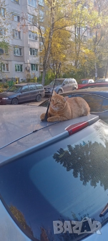 Демонтаж на Стари Мебели 