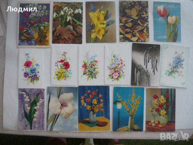 Пощенски картички с цветя и животни., снимка 4 - Колекции - 43512265