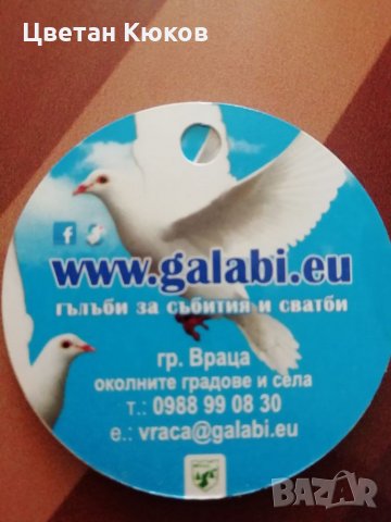 Гълъби за сватби и събития , снимка 3 - Други - 32673065