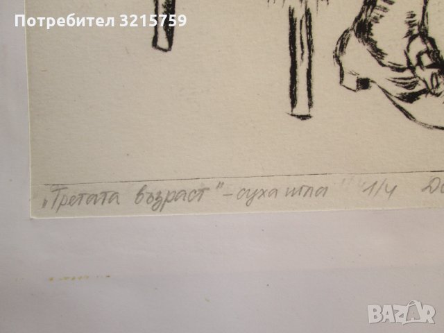 Картина суха игла, Доротея Димчева, 1995г., снимка 3 - Картини - 35278552