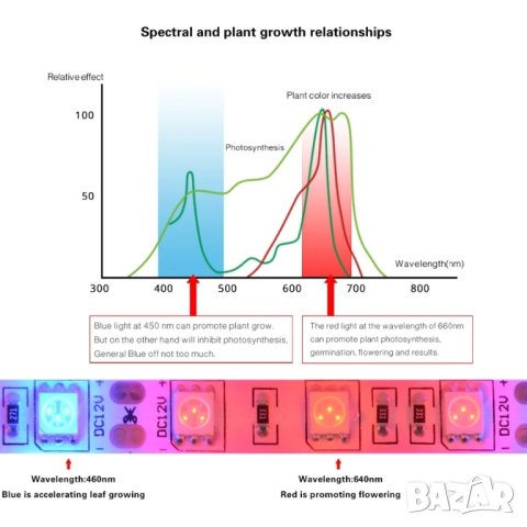 Фито диодна led лента за бърз растеж SMD 5050  12V 60led/m, снимка 3 - Лед осветление - 43690154