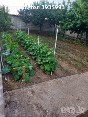 Продавам КЪЩА в с.Боянци, общ. Асеновград, обл. Пловдив, снимка 13 - Къщи - 53092809