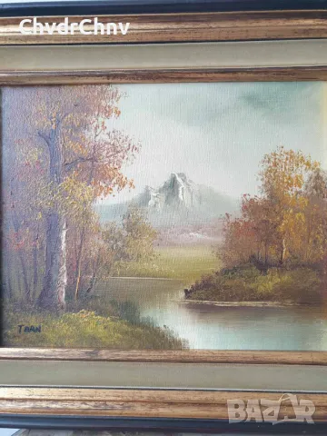 38x33см/2бр стари картини масло върху платно/пейзажи/картина в дървена рамка, снимка 3 - Картини - 49028098