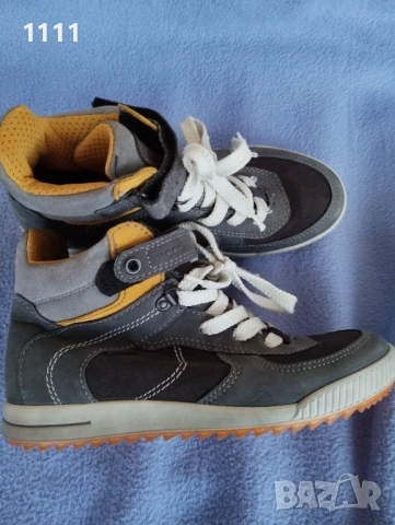 Ecco coretex номер 35.