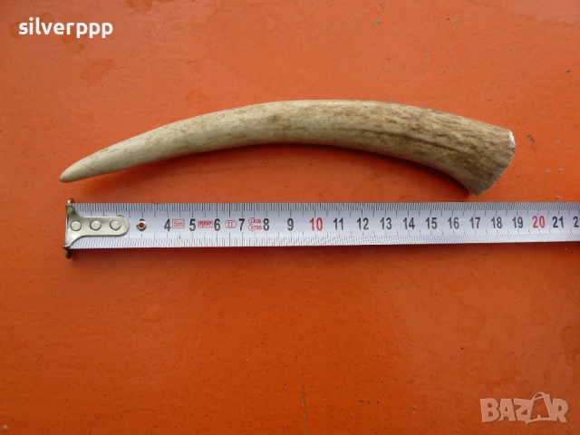 Парче еленов рог за дръжка на нож - 5 