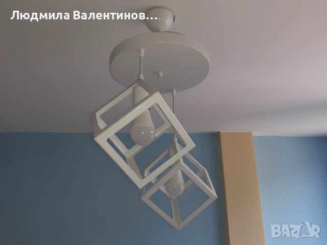 Полилей бял  Lorinda, снимка 2 - Полилеи - 50926530