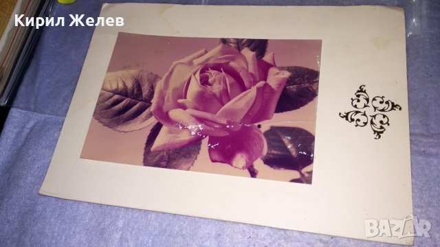 ДВЕ СТАРИ ПОЩЕНСКИ КАРТИЧКИ ТЕМА ПЪРВИ МАРТ ПРОЛЕТНА ЧЕСТИТКА 33444, снимка 3 - Филателия - 38788411