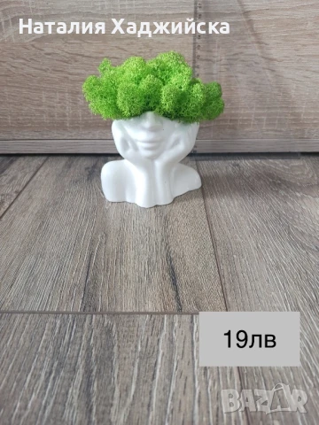 Кашпи със скандинавски мъх – тип „Лице“, снимка 3 - Декорация за дома - 51278821