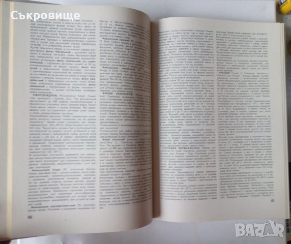 Енциклопедия Стайни растения и декоративно цъфтящи храсти на руски Цветы, снимка 8 - Енциклопедии, справочници - 39971976
