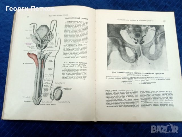 Атлас анатомии человека, снимка 8 - Антикварни и старинни предмети - 43818672