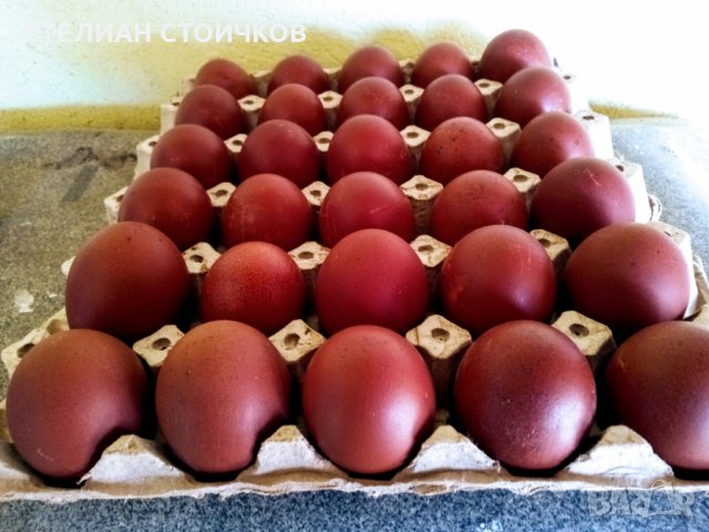  яйца за люпене от черен-мед маран, снимка 2 - други­ - 14259335