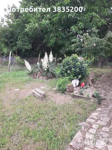 Почистване на дворове , снимка 4 - Други почистващи услуги - 47543826