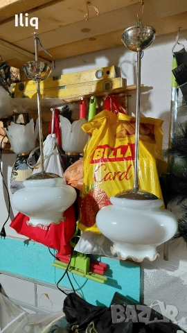 полилей единичен. 