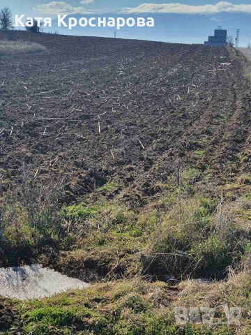 Парцел в Подгумер – до къщи, ток и вода!, снимка 9 - Земеделска земя - 53569082