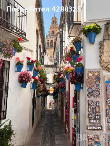 Уроци по испански език 