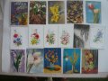 Пощенски картички с цветя и животни., снимка 4