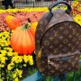 Дамска раница Louis Vuitton код 64