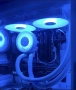 Arctic Liquid Freezer III 240 ARGB бял, снимка 3