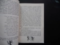 Ян Бибиян Елин Пелин Невероятни приключения на едно хлапе българска класика за деца , снимка 3