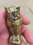 Малък Бронзов Бухал , снимка 9