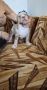 Американско були / American bully XL , снимка 3