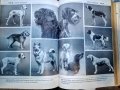"Енциклопедия на кучето"-Германия, снимка 2