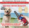 Електронен нашийник за куче, снимка 12