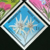  Сет 7 марки Цветята на Монголия,Монголия, 1979, ново, минт, снимка 6 - Филателия - 27982678