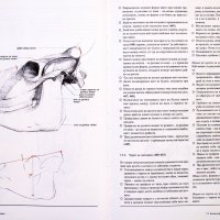 Животинското тяло Учебник по пластична анатомия Годфрид Бамес download pdf, снимка 4 - Енциклопедии, справочници - 28299610