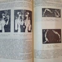 Подводен спорт 1975 г., снимка 3 - Специализирана литература - 35490222