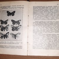 Стар учебник Обща биология проф Методи Попов 1934 г, снимка 5 - Специализирана литература - 33026529