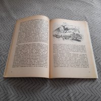 Книга Пътешествията на Гъливер, снимка 4 - Детски книжки - 32290651