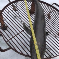 Риба Акула-Папие Маше 70 см, снимка 6 - Антикварни и старинни предмети - 44014780